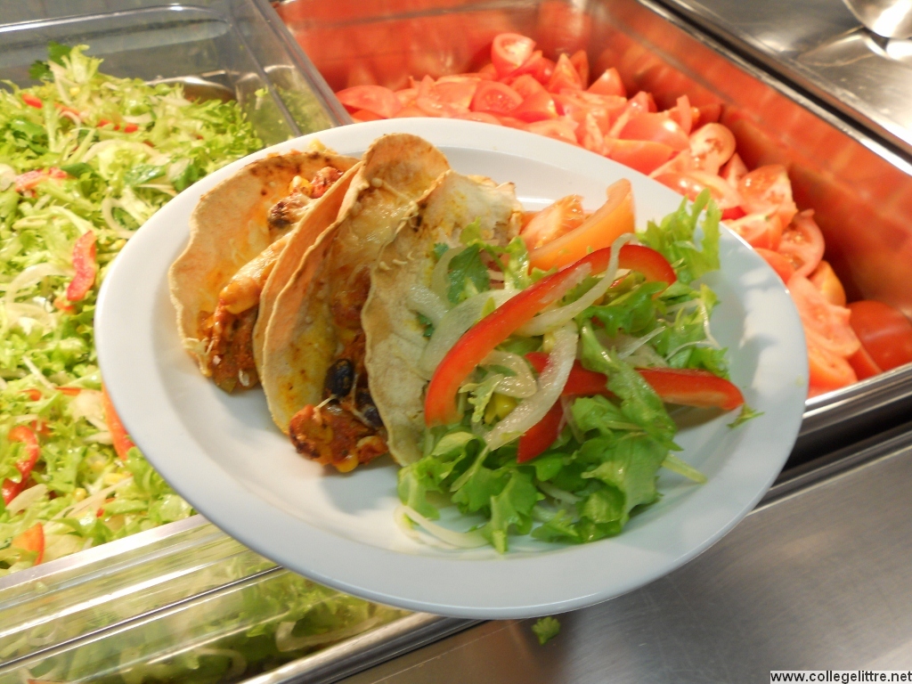 4 01 11 339 (1024x768).jpg 4 01 11 339 (1024x768).jpg