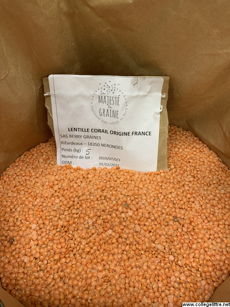 lentilles corail lentilles corail