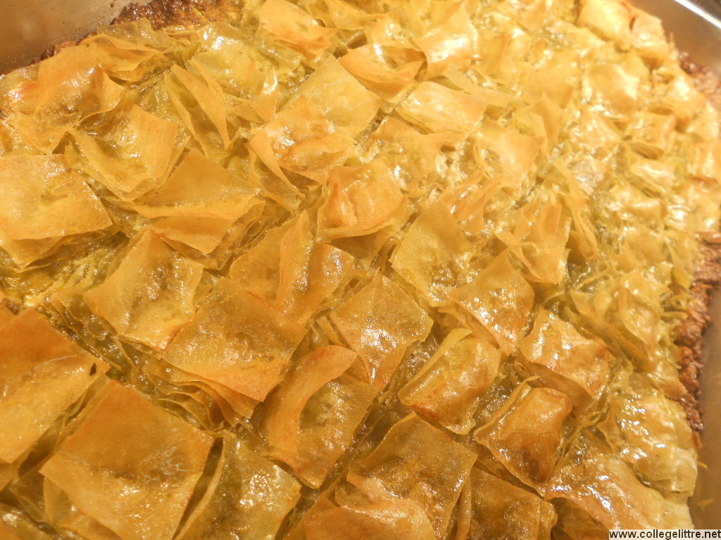 16 02 2012 061 16 02 2012 061