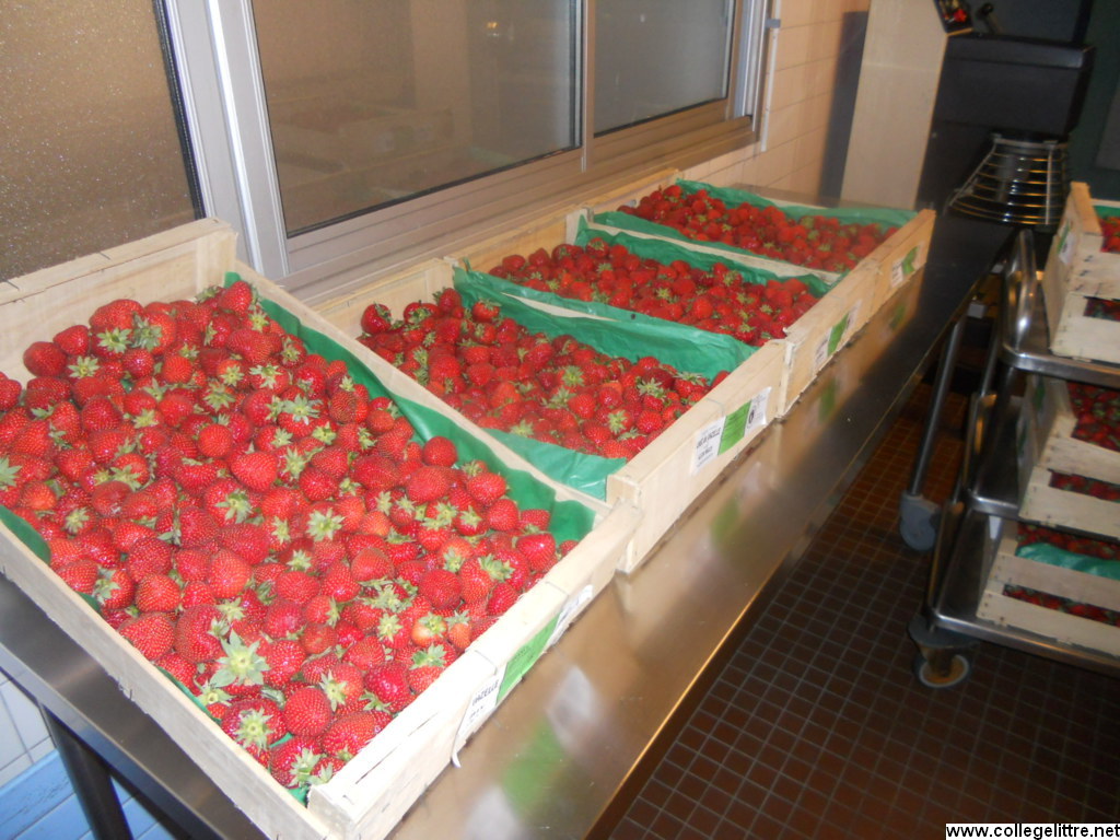 08 06 2012 006 08 06 2012 006