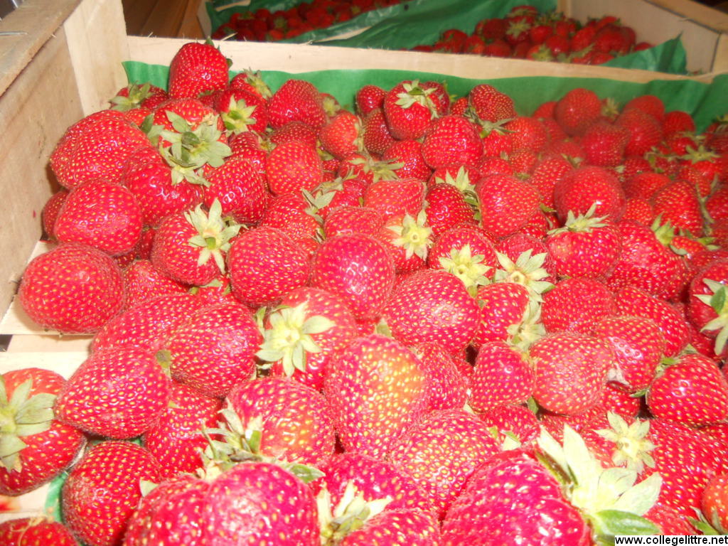 08 06 2012 007 08 06 2012 007