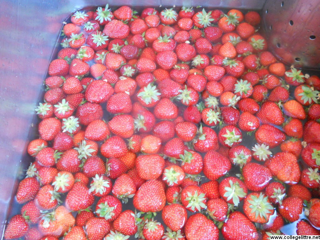 08 06 2012 022 08 06 2012 022