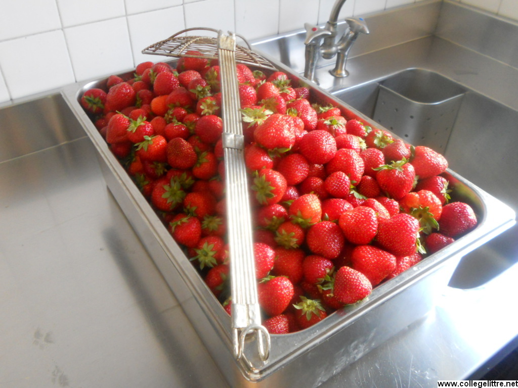 08 06 2012 026 08 06 2012 026