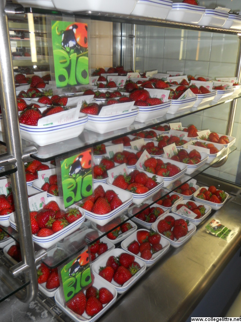 08 06 2012 037 08 06 2012 037