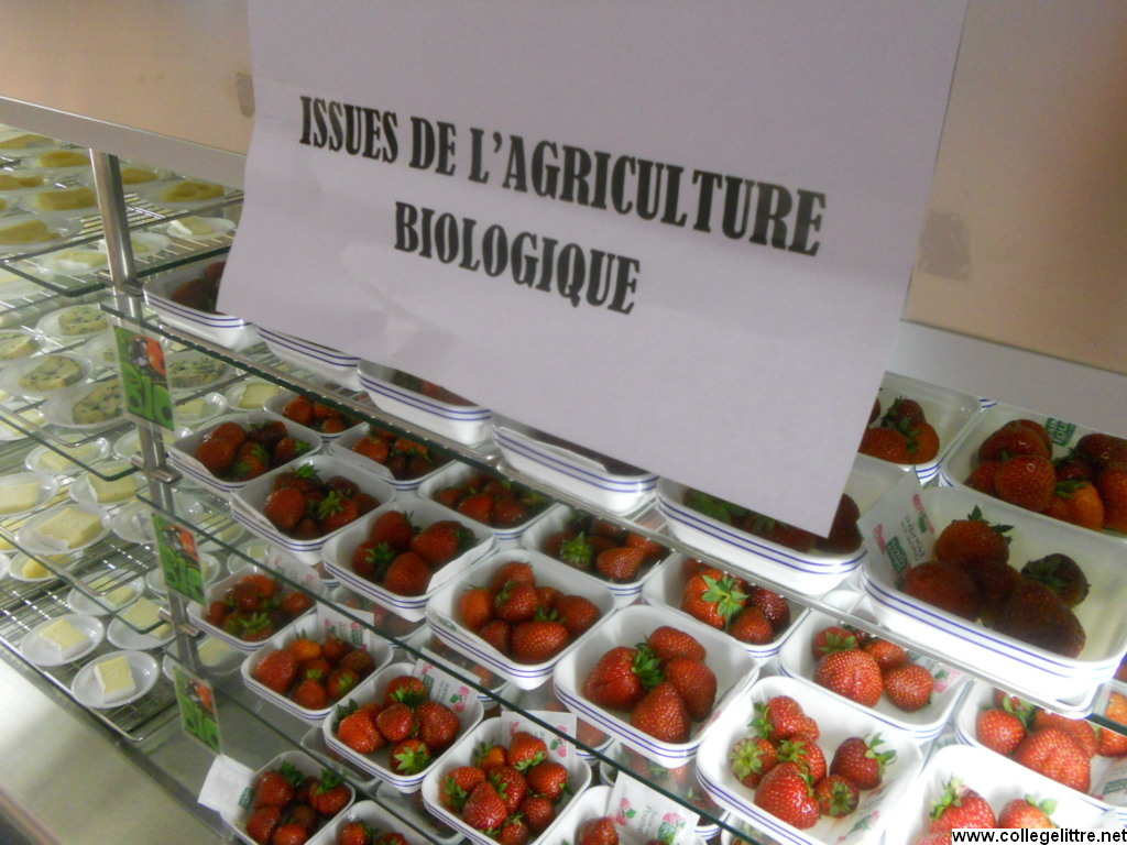 08 06 2012 038 08 06 2012 038