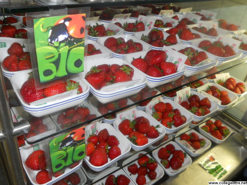 08 06 2012 040 08 06 2012 040