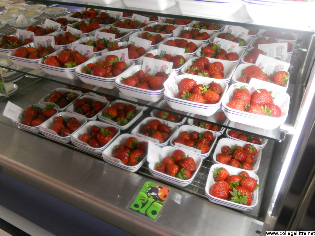 08 06 2012 041 08 06 2012 041