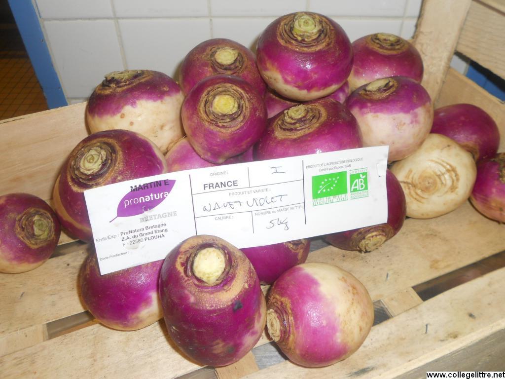 11 10 2012 014 11 10 2012 014