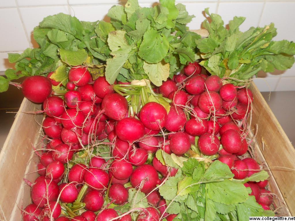 11 10 2012 027 11 10 2012 027