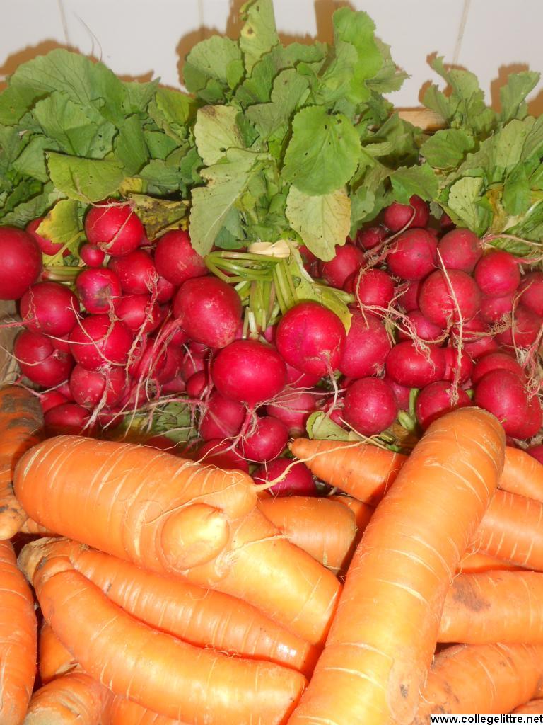 11 10 2012 028 11 10 2012 028