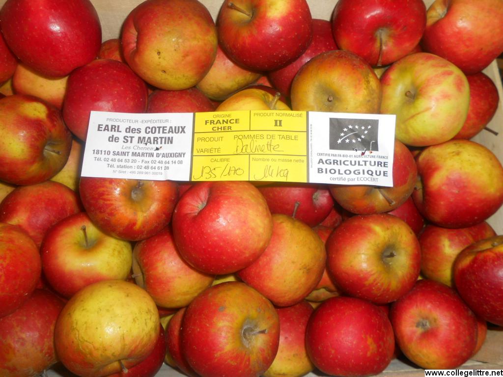 15 10 2012 005 15 10 2012 005