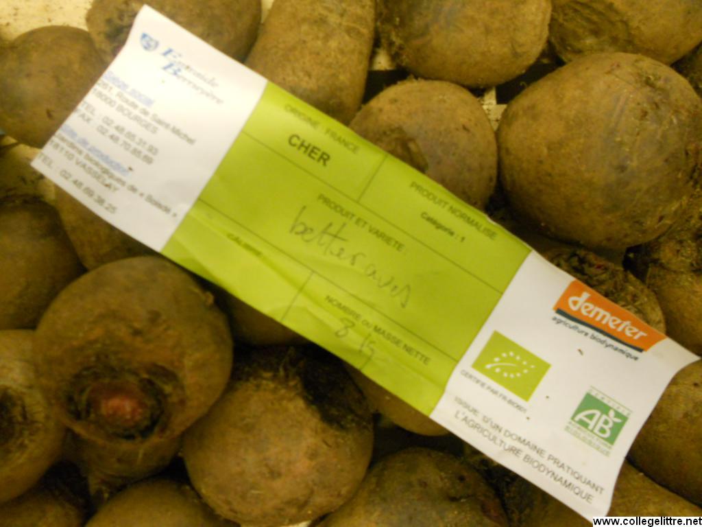 22 11 2012 017 22 11 2012 017