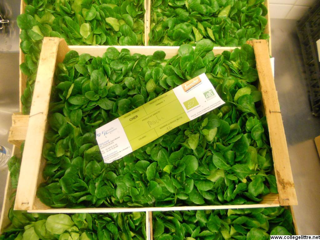 22 11 2012 019 22 11 2012 019