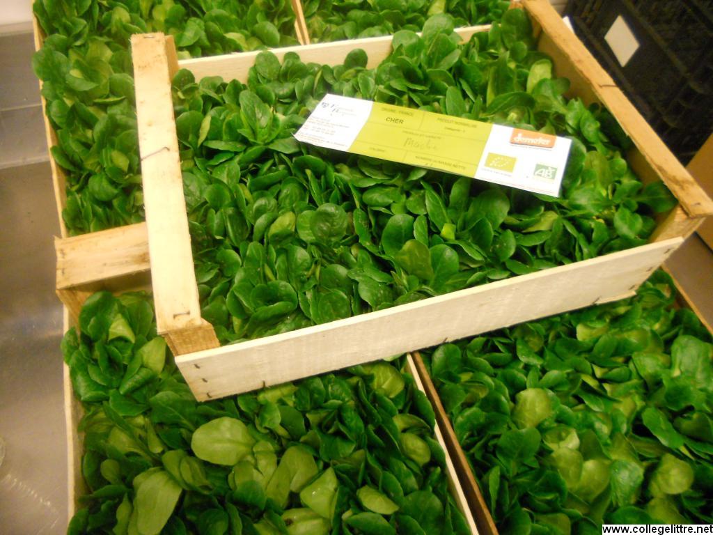 22 11 2012 021 22 11 2012 021