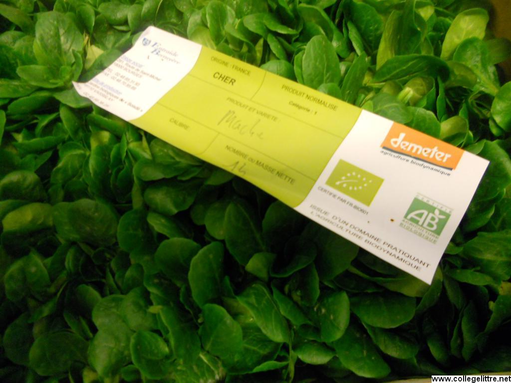 22 11 2012 022 22 11 2012 022