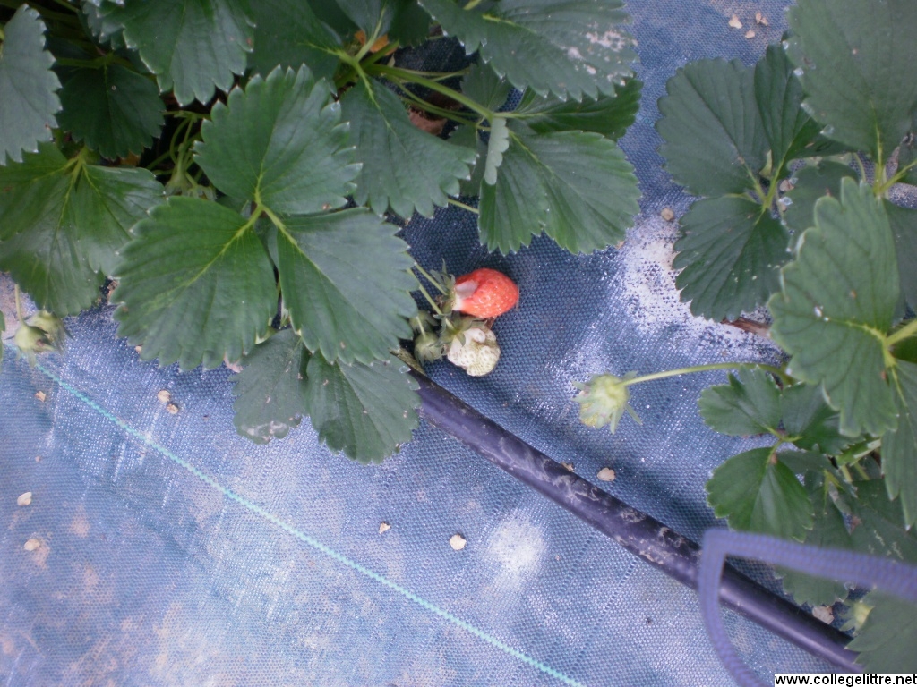 relais05 026 relais05 026