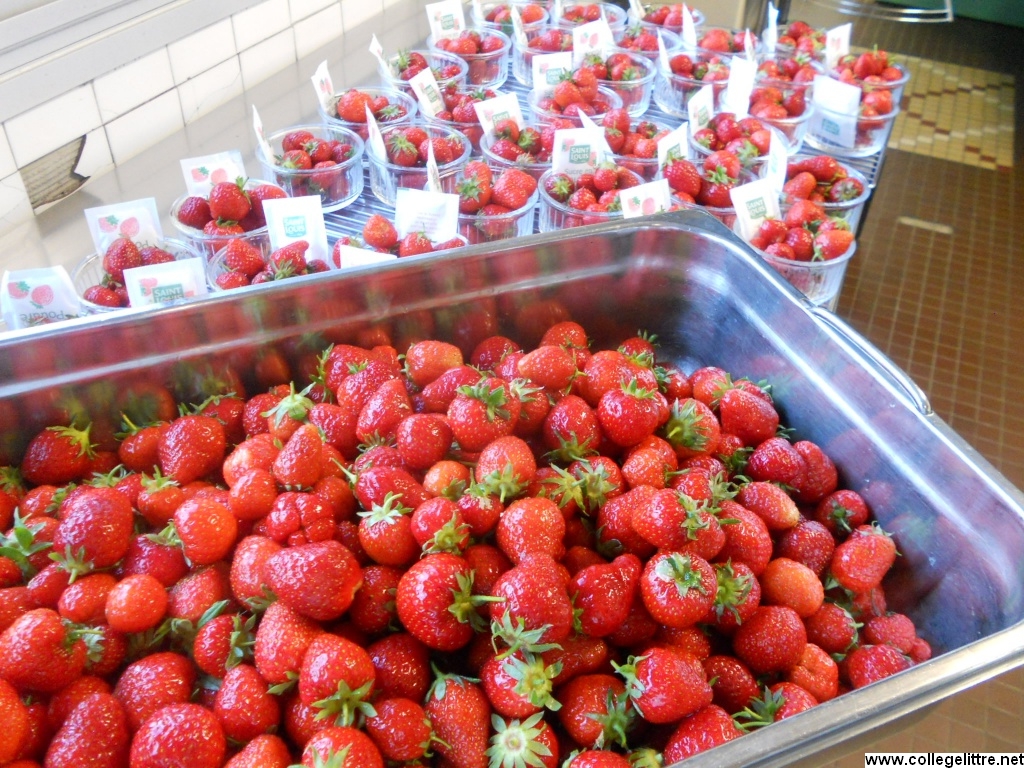 13 06 2013 013 13 06 2013 013