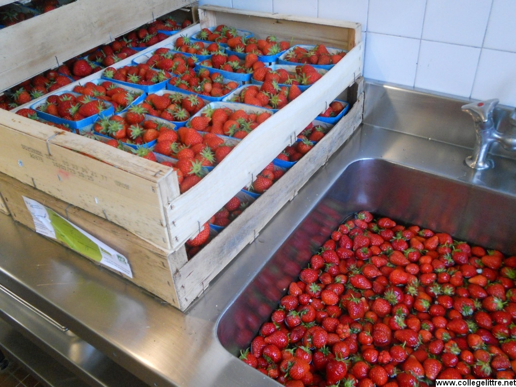 13 06 2013 007 13 06 2013 007