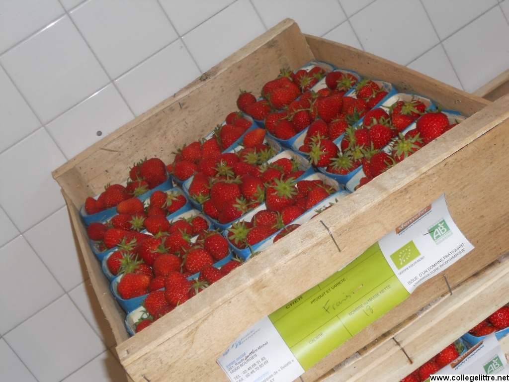 13 06 2013 010 13 06 2013 010