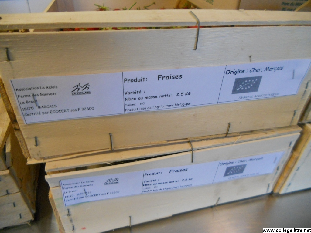 13 06 2013 011 13 06 2013 011