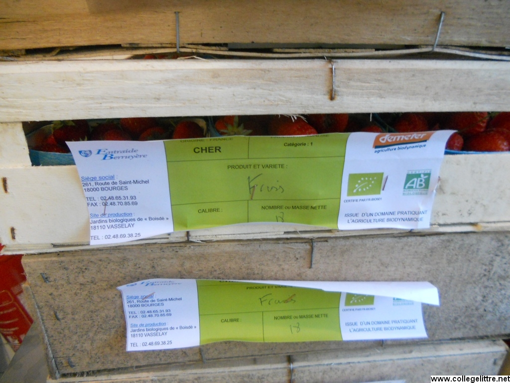 13 06 2013 012 13 06 2013 012