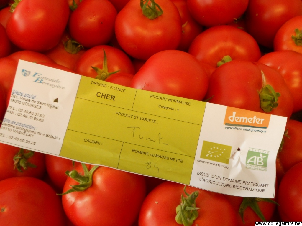 03 09 2013 005 03 09 2013 005