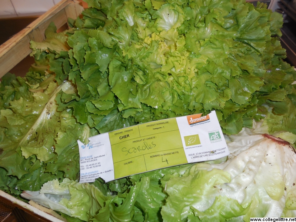 11 10 2013 021 11 10 2013 021