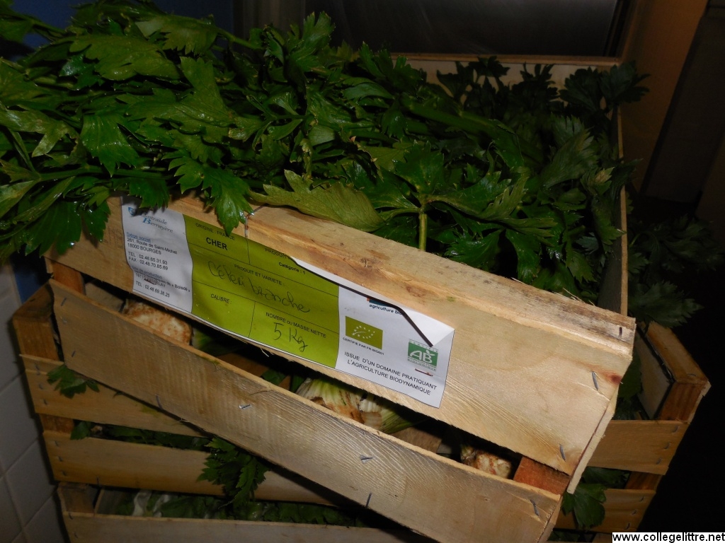 11 10 2013 017 11 10 2013 017