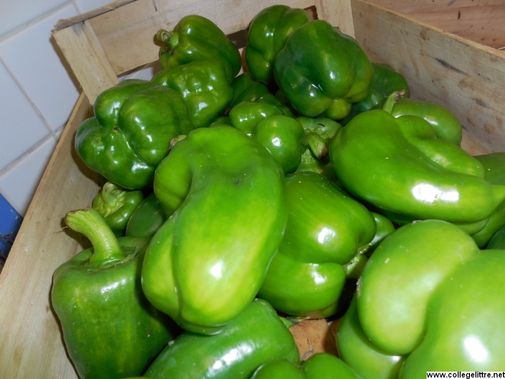 11 10 2013 019 11 10 2013 019