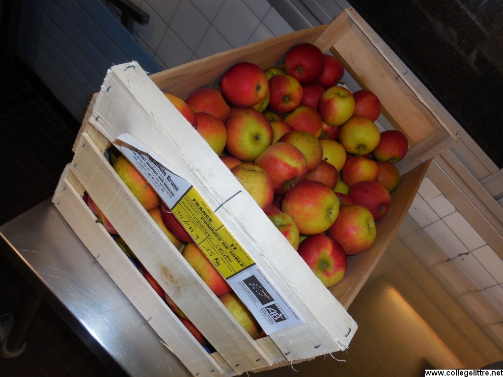 pommes de st georges sur moulon achetées à m.Clavier pommes de st georges sur moulon achetées à m.Clavier