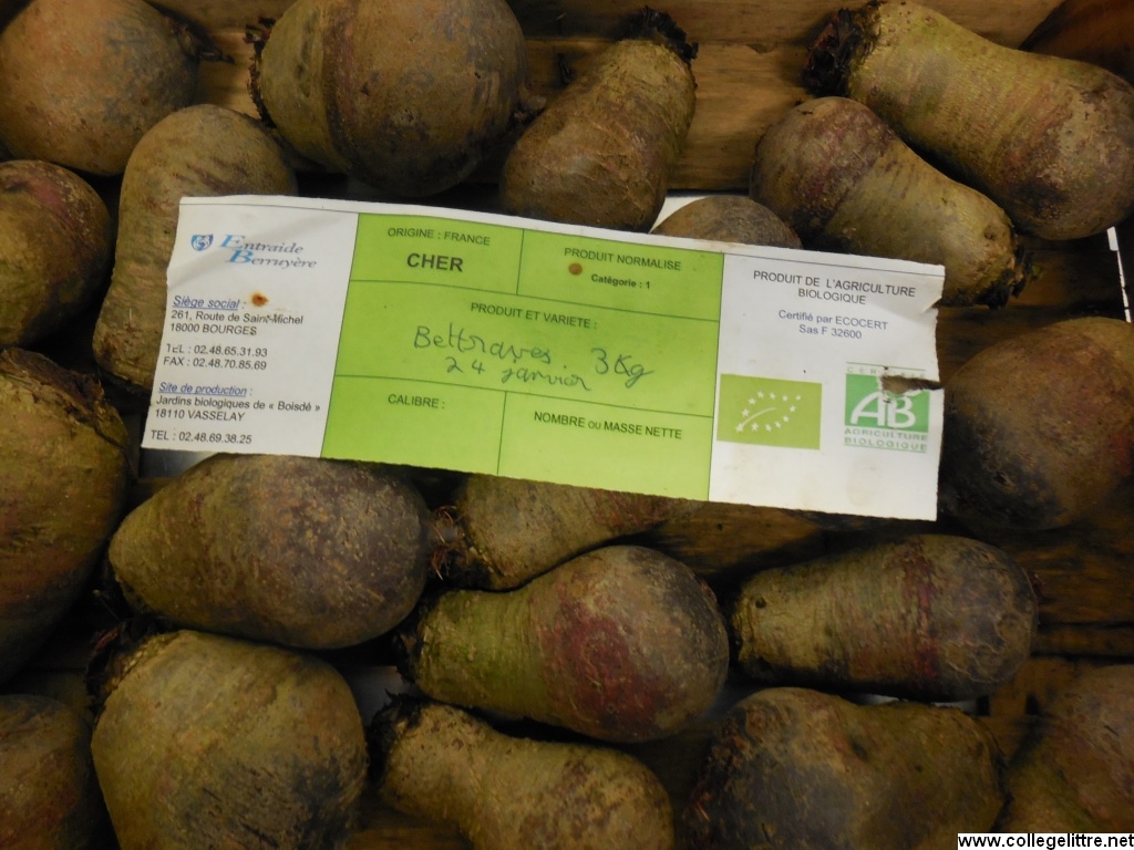 30 01 2014 003 30 01 2014 003