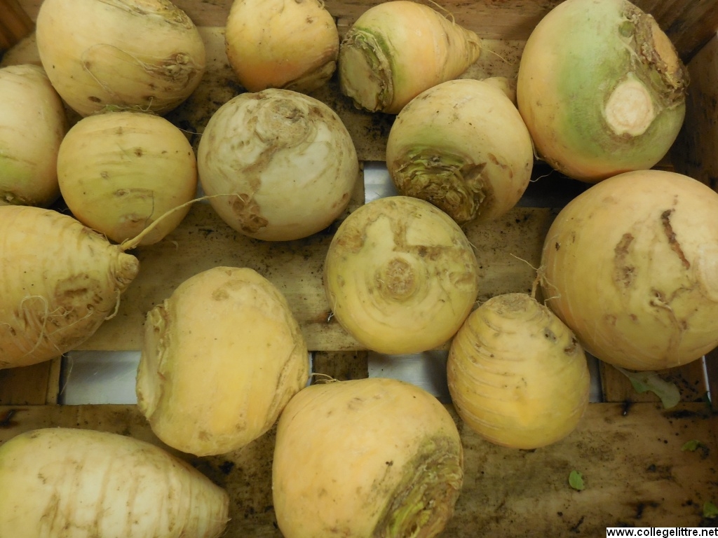 30 01 2014 005 30 01 2014 005