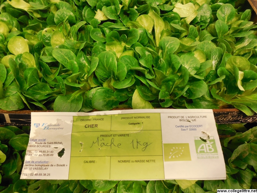 31 01 2014 002 31 01 2014 002