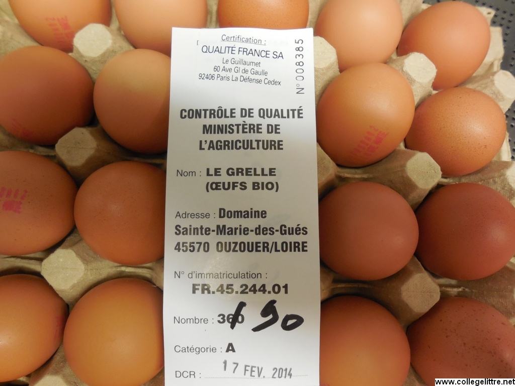 31 01 2014 028 31 01 2014 028