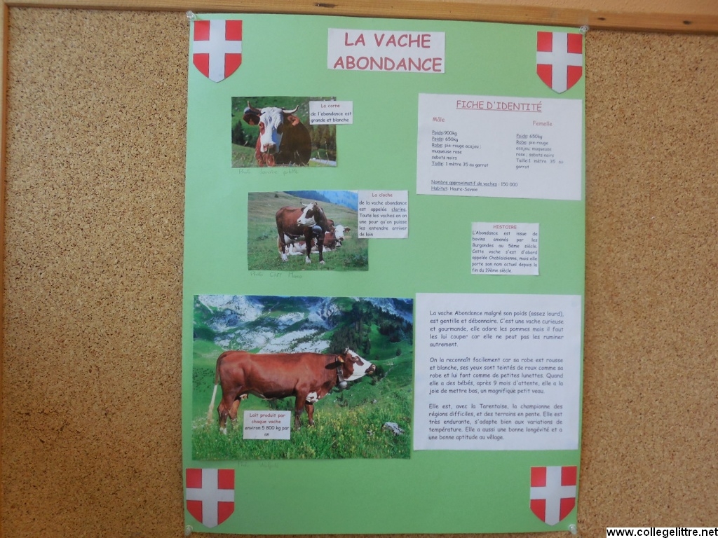 14 02 2014 011 14 02 2014 011