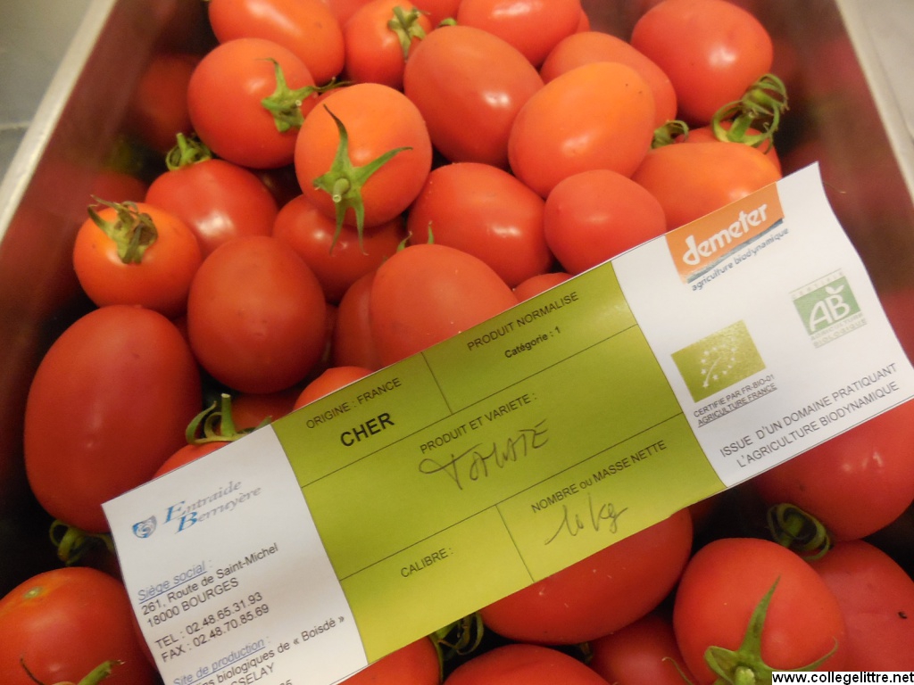 08 09 2014 009 08 09 2014 009