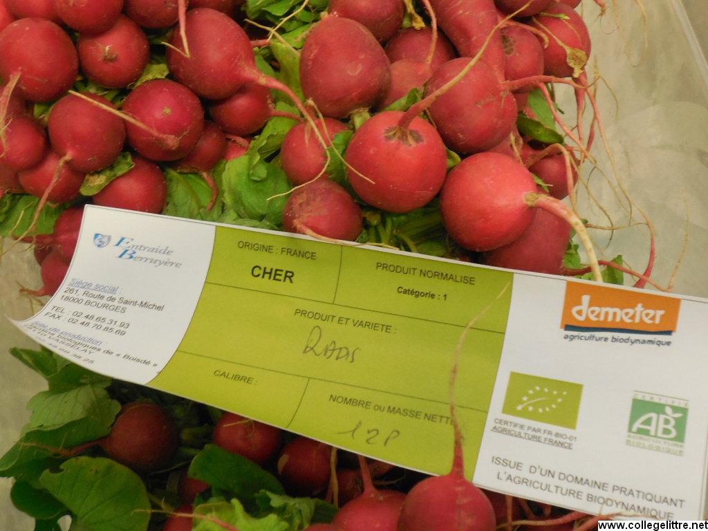 08 09 2014 008 08 09 2014 008