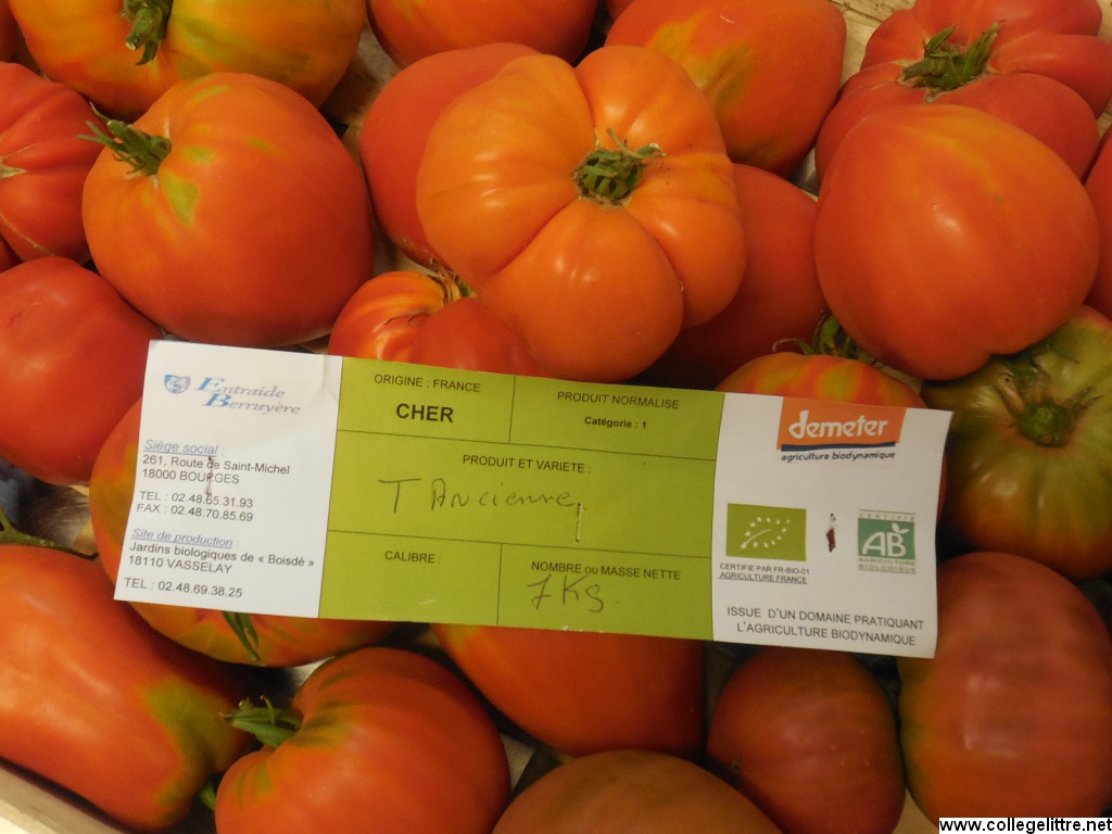 Tomates anciennes Tomates anciennes