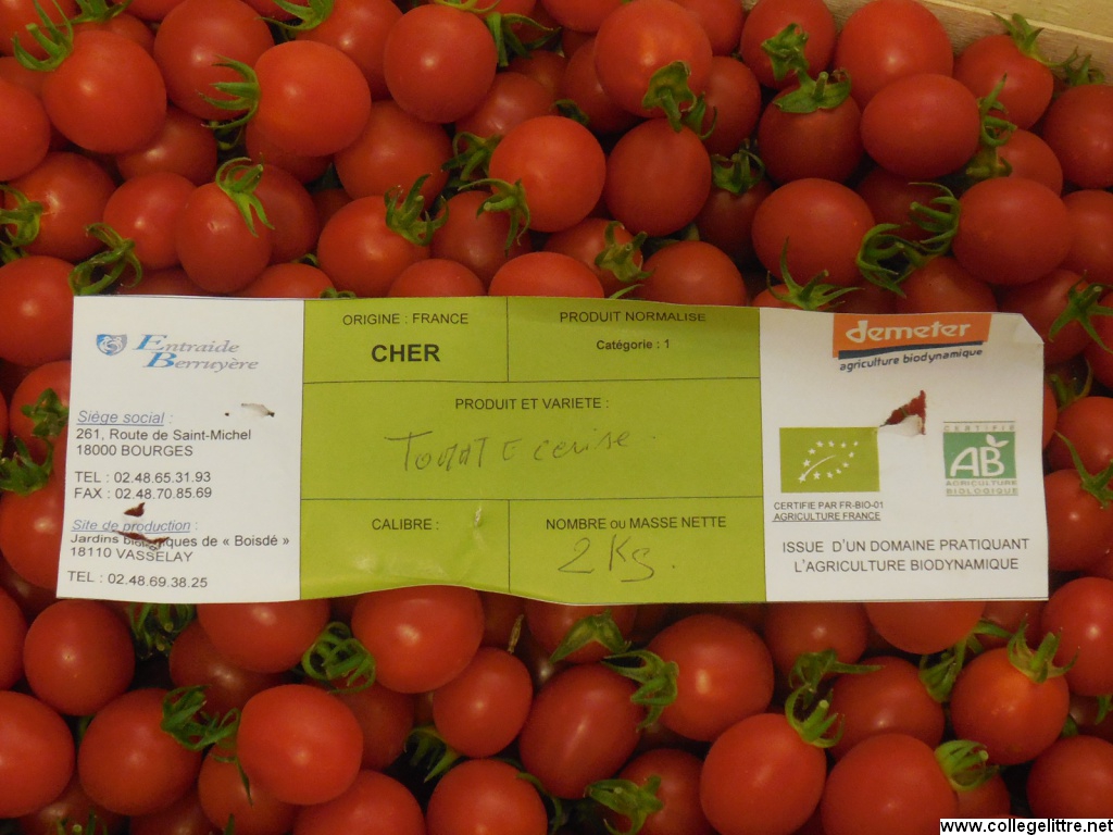 Tomates cerises Tomates cerises