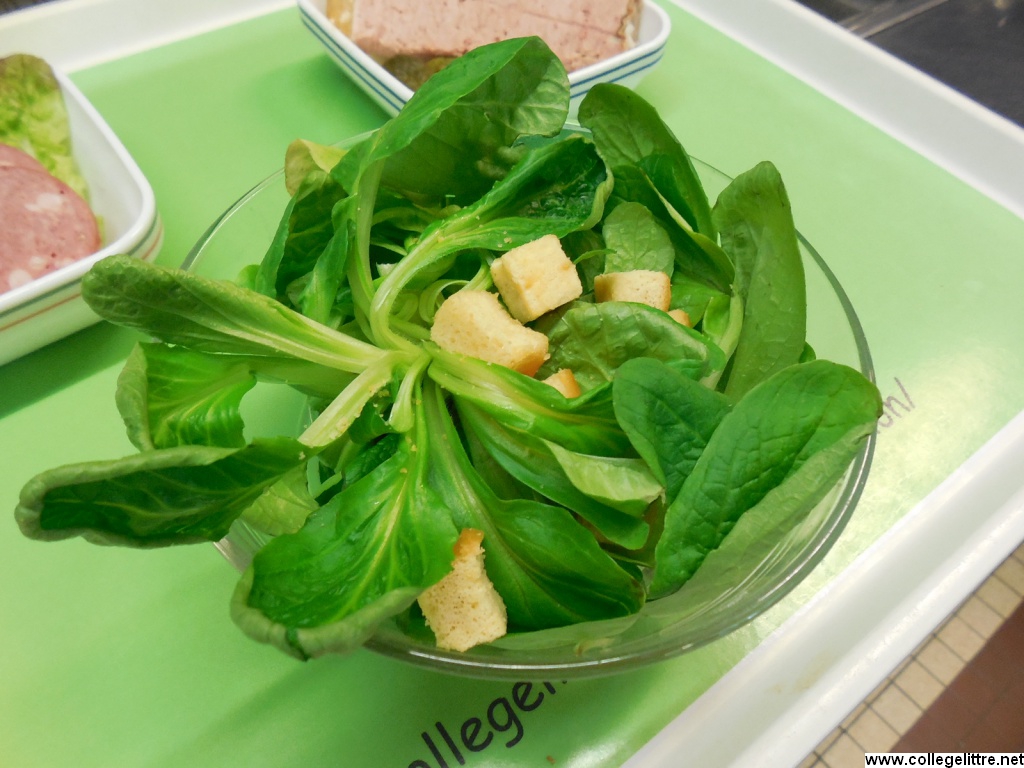 Mäche Bio Mäche Bio