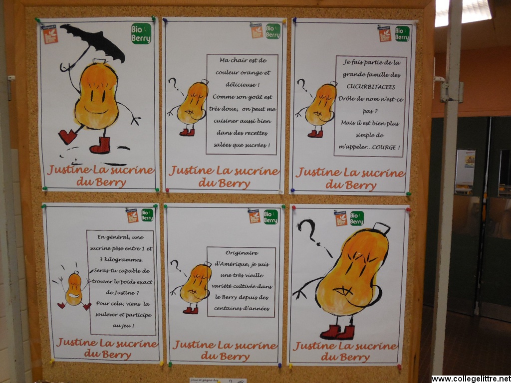 les affiches préparées par bioberry les affiches préparées par bioberry