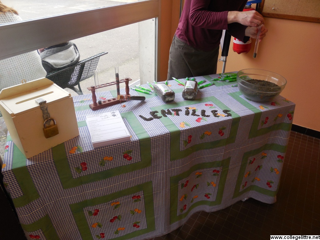 Animation BioBerry Animation BioBerry