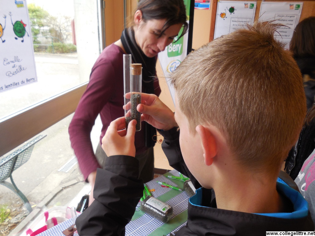 Combien y a t il de lentilles dans cette éprouvette ? Combien y a t il de lentilles dans cette éprouvette ?