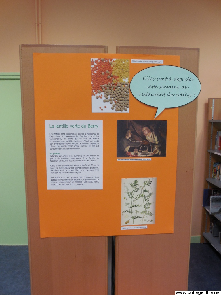 Panneaux d'informations du CDI Panneaux d'informations du CDI