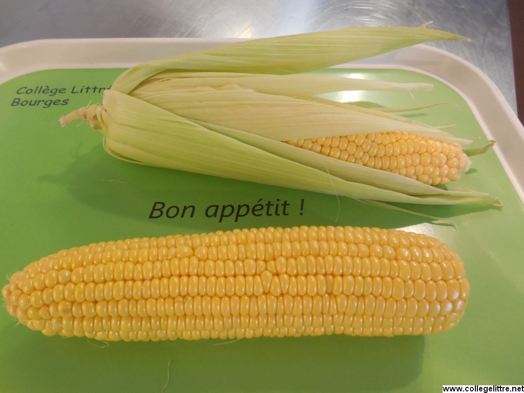 24 09 2015 030 24 09 2015 030