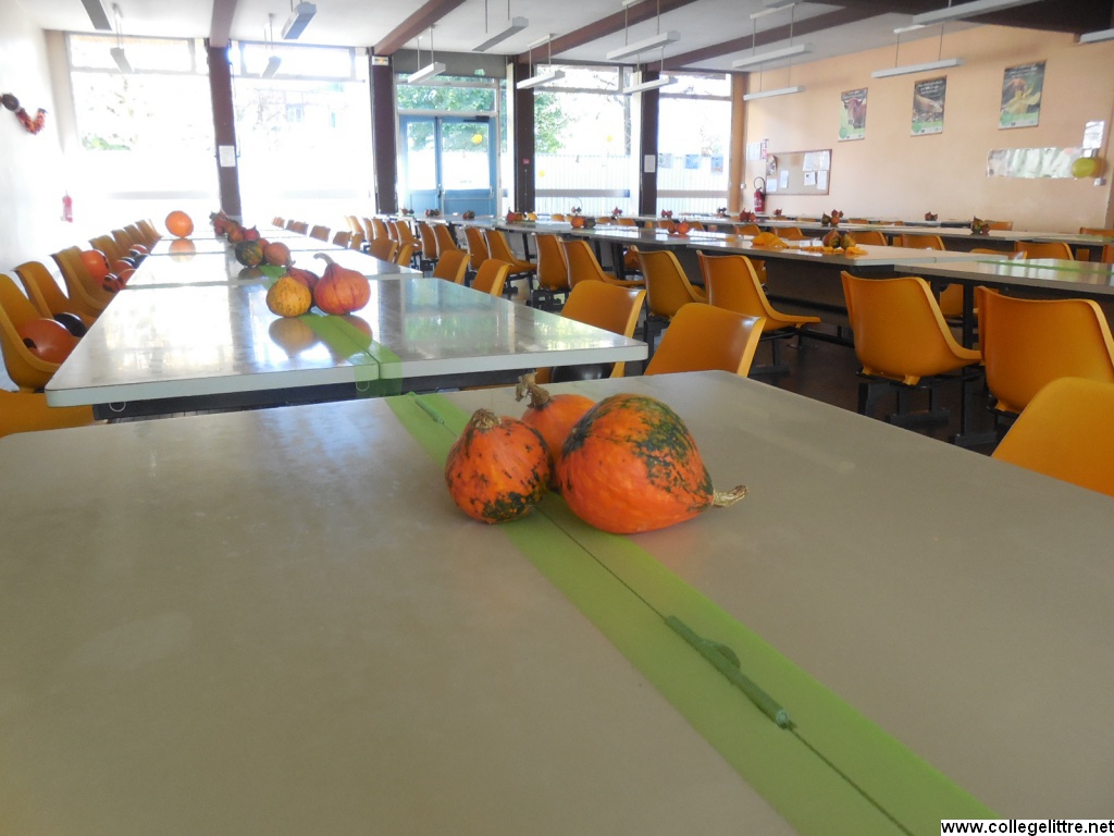 05 11 2015 002 05 11 2015 002