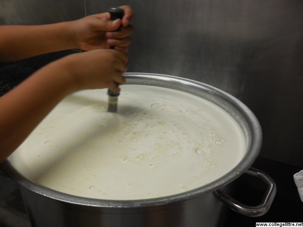 26 11 2015 023 26 11 2015 023