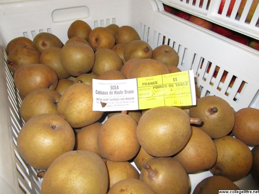 06 07 2016 146 06 07 2016 146