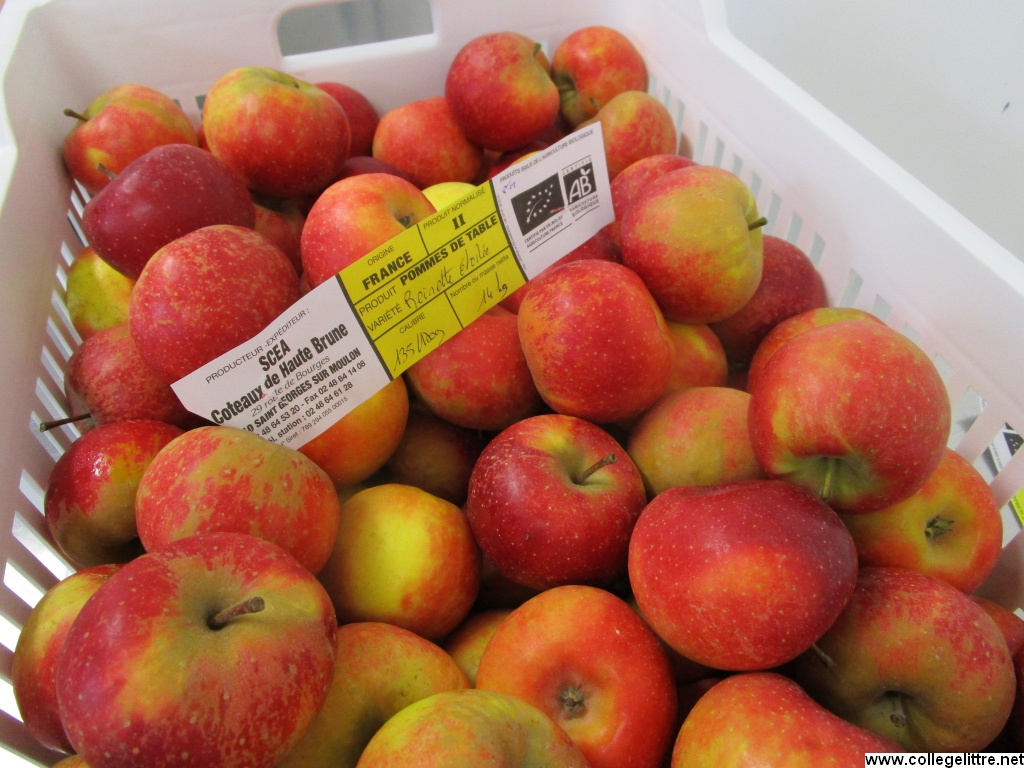 06 07 2016 147 06 07 2016 147