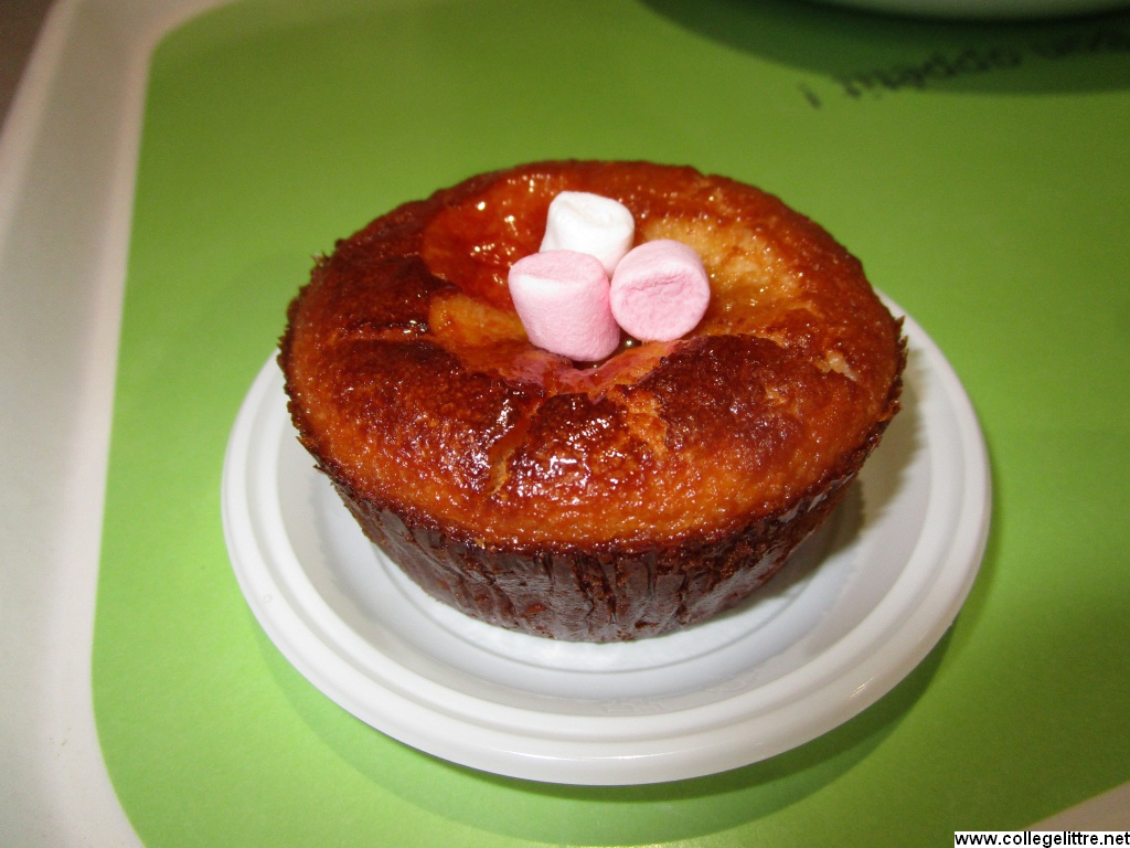 06 07 2016 037 06 07 2016 037